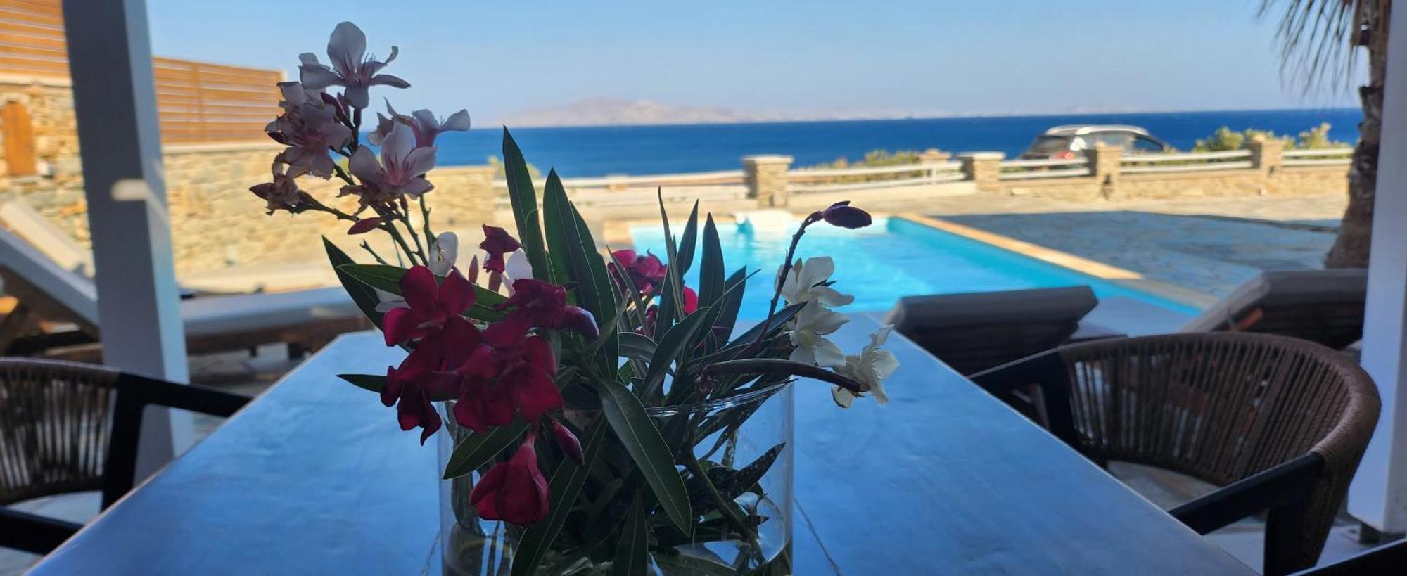 Santamare Villa Tinos Екстер'єр фото